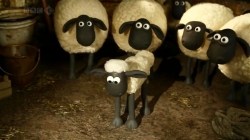 بره ناقلا (اردک های گوره خری نایاب)